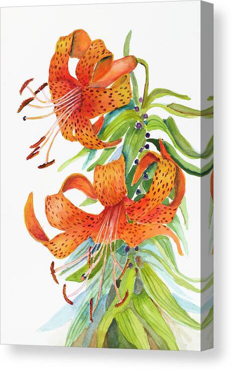 Tigar Lilies Canvas Print featuring the painting Tigar Lilies by Joanne Porter