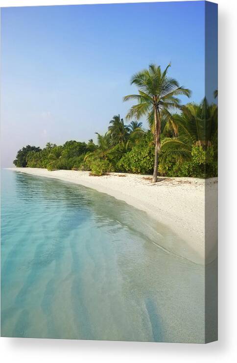 Tranquility Canvas Print featuring the photograph Tranquil Tropical Beach Scene by Rosemary Calvert