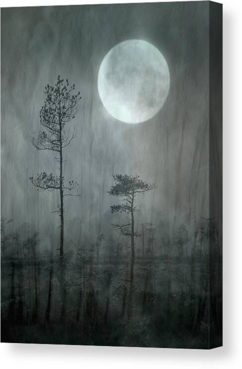 Moonlight Canvas Print featuring the photograph Under The Moon by Christina Silln