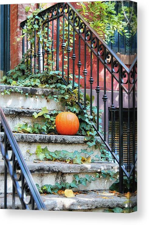 All Canvas Print featuring the photograph Urban Fall by JAMART Photography