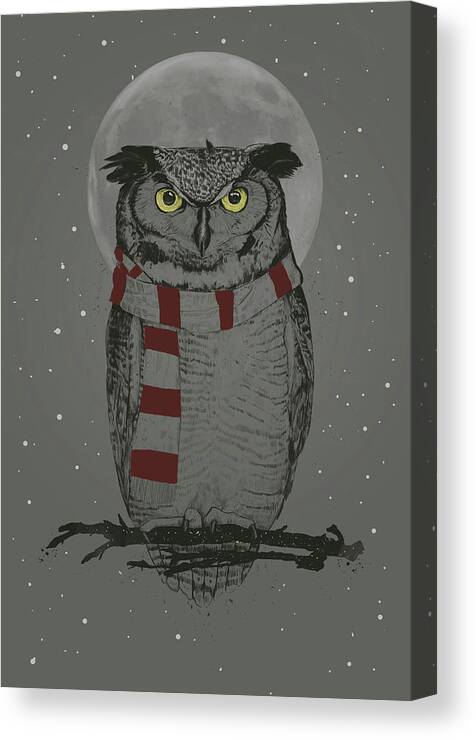 Owl Canvas Print featuring the mixed media Winter owl by Balazs Solti
