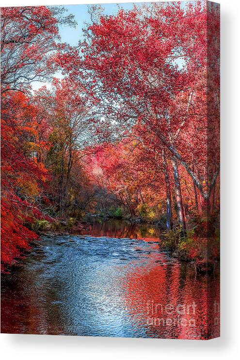 Wissahickon Creek Canvas Print featuring the photograph Wissahickon Creek Fall 1116 by Howard Roberts