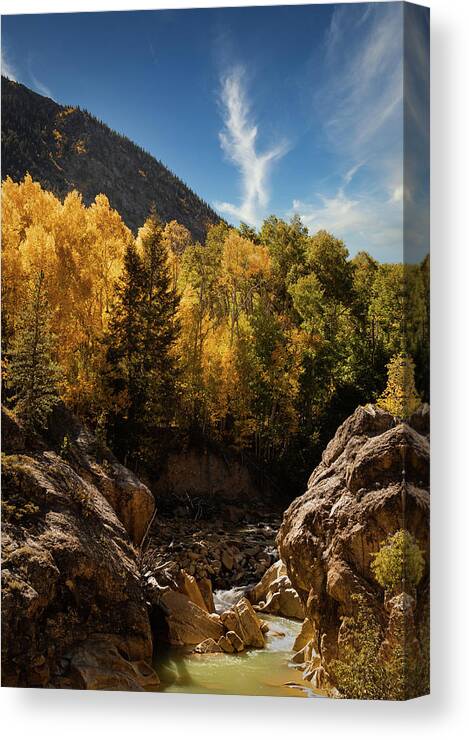 Fall Canvas Print featuring the photograph Fall in Colorado #2 by Kevin Schwalbe