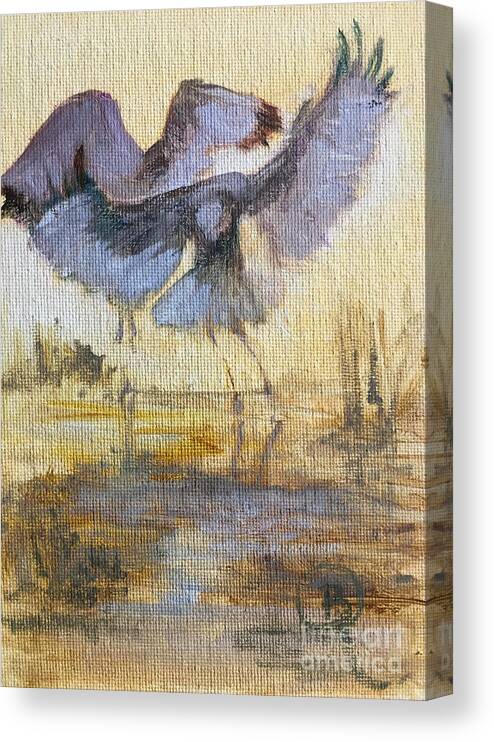 Ibis Canvas Print featuring the photograph Ibis landing #2 by B Rossitto