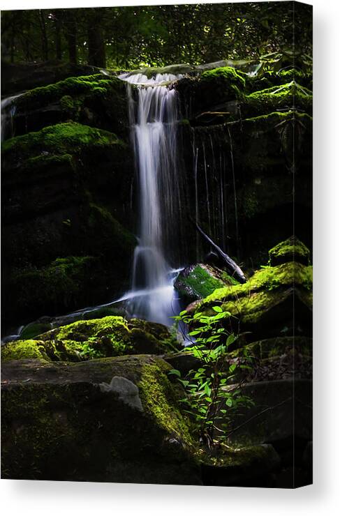 Smoky Mountains Canvas Print featuring the photograph Smoky Mountains Spring Water #1 by Theresa D Williams