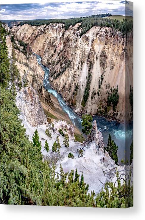 Tree Canvas Print featuring the photograph Lower Yellowstone Falls in the Yellowstone National Park #15 by Alex Grichenko