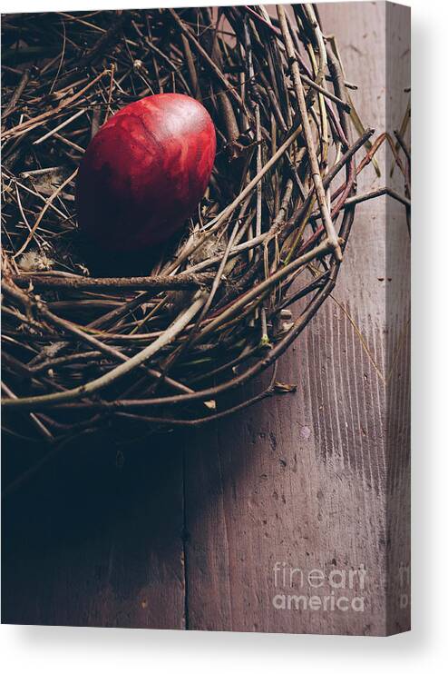 Easter Canvas Print featuring the photograph Easter Egg #3 by Jelena Jovanovic