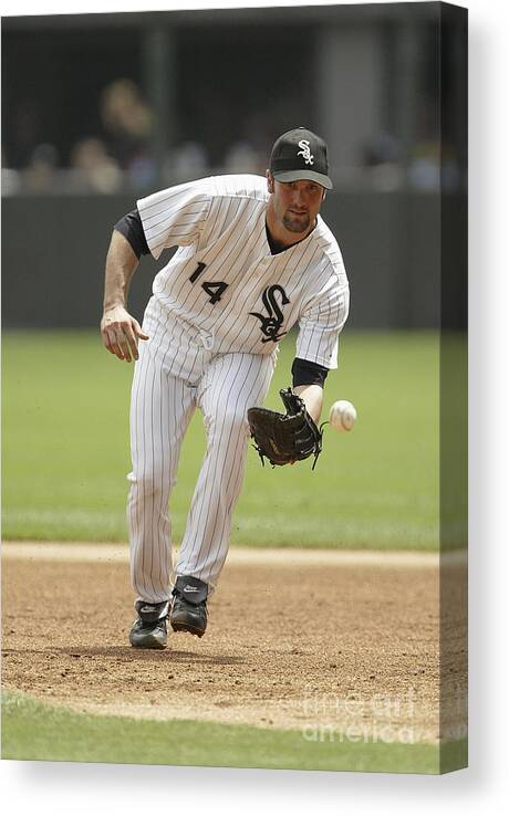 American League Baseball Canvas Print featuring the photograph Paul Konerko #3 by Ron Vesely