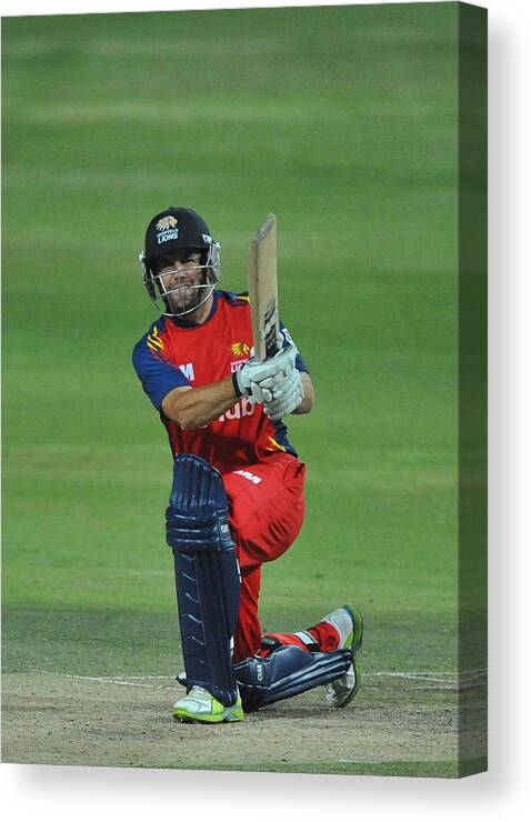 Cow Canvas Print featuring the photograph CLT20 2012 - Highveld Lions v Mumbai Indians #6 by Gallo Images