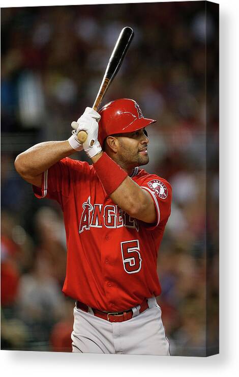 People Canvas Print featuring the photograph Albert Pujols by Christian Petersen