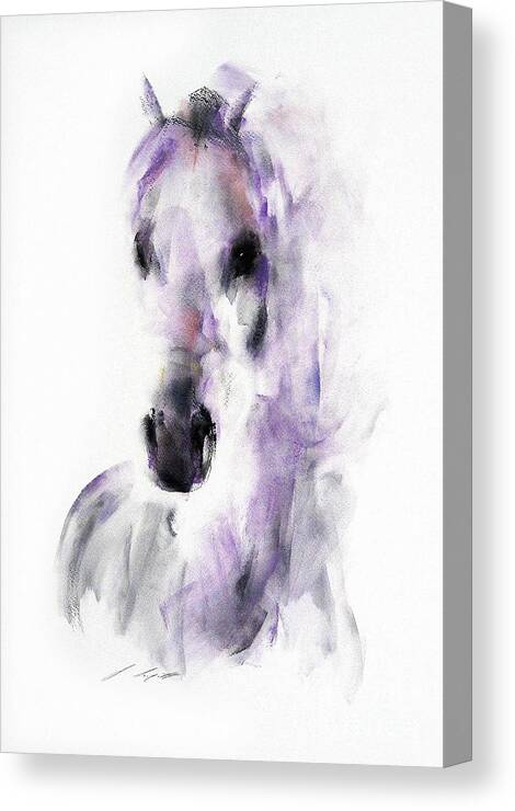 Equestrian Painting Canvas Print featuring the painting Amal by Janette Lockett