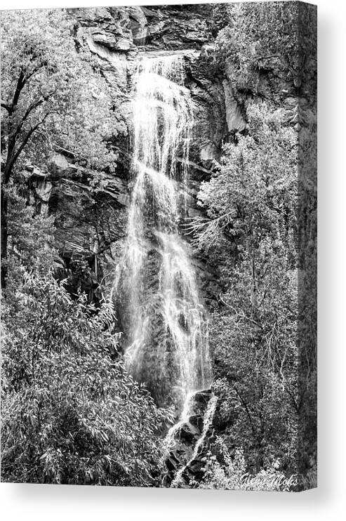 Angel Falls Canvas Print featuring the photograph Angel Falls by GLENN Mohs