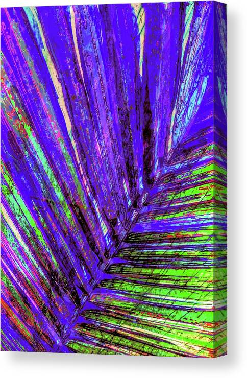 Palm Artwork Canvas Print featuring the digital art Areca Peacock Plume by Pamela Smale Williams