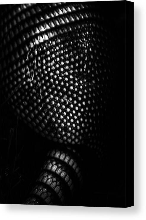 Black & White Canvas Print featuring the photograph Artful Armor by Vicky Edgerly