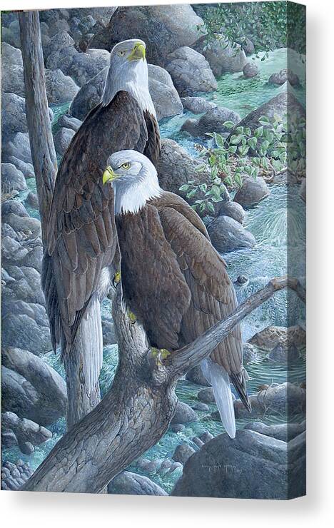 Bald Eagle Canvas Print featuring the painting Bald Eagles by Barry Kent MacKay
