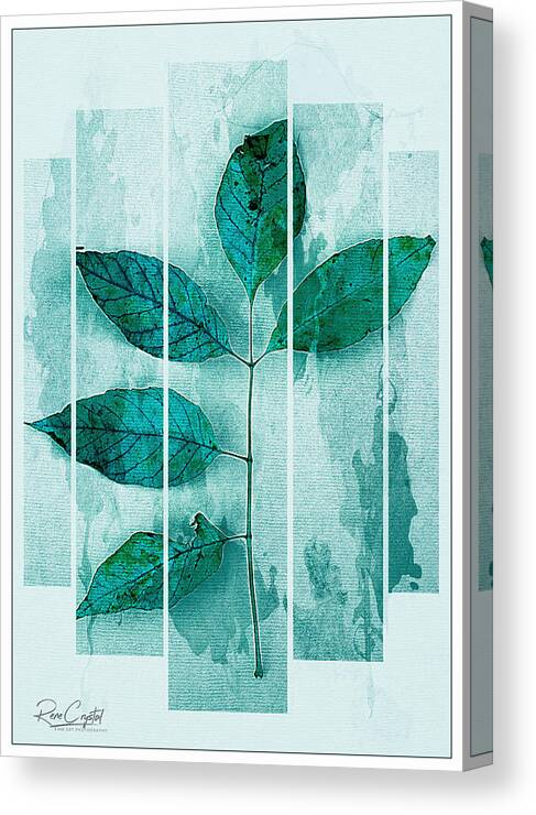Leaves Canvas Print featuring the photograph Being Different Is Beautiful, Too by Rene Crystal