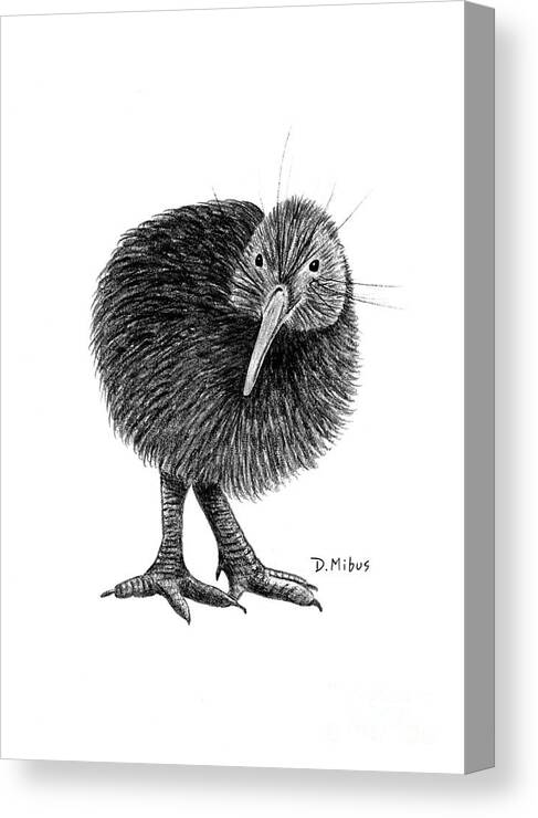 New Zealand Bird Canvas Print featuring the drawing Black and White Kiwi Bird of New Zealand by Donna Mibus
