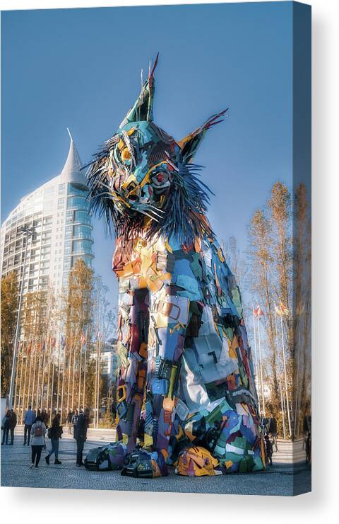 Plastic Canvas Print featuring the photograph Bordalo II Oriente's Cat by Micah Offman