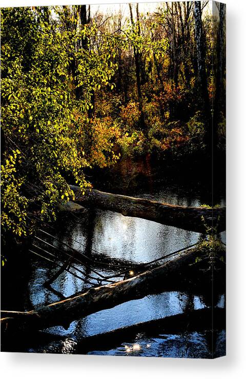 Tranquil Canvas Print featuring the photograph Broad Run Autumn No. 1 by Steve Ember