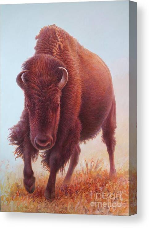 Buffalo Canvas Print featuring the painting Buffalo L of 2 by Hans Droog