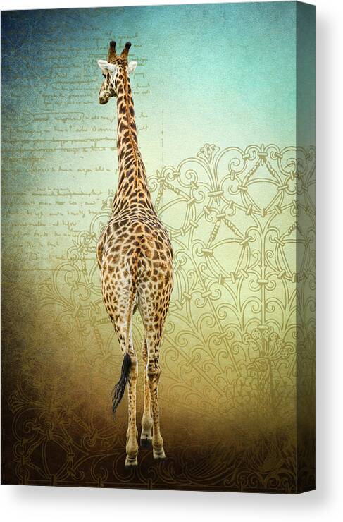Giraffe Canvas Print featuring the photograph Bull Giraffe by Rebecca Herranen
