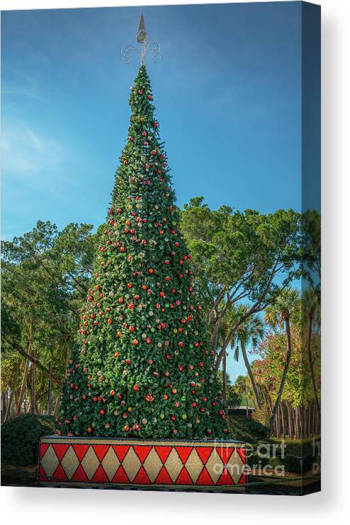 Bird Key Canvas Print featuring the photograph Christmas Tree at St. Armand's Circle, Sarasota, Florida by Liesl Walsh