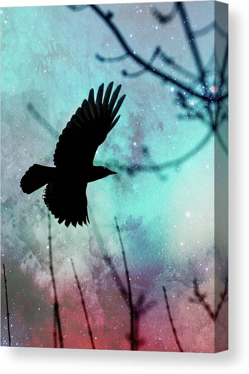 Crow Canvas Print featuring the photograph Crow Flying by Rebecca Cozart