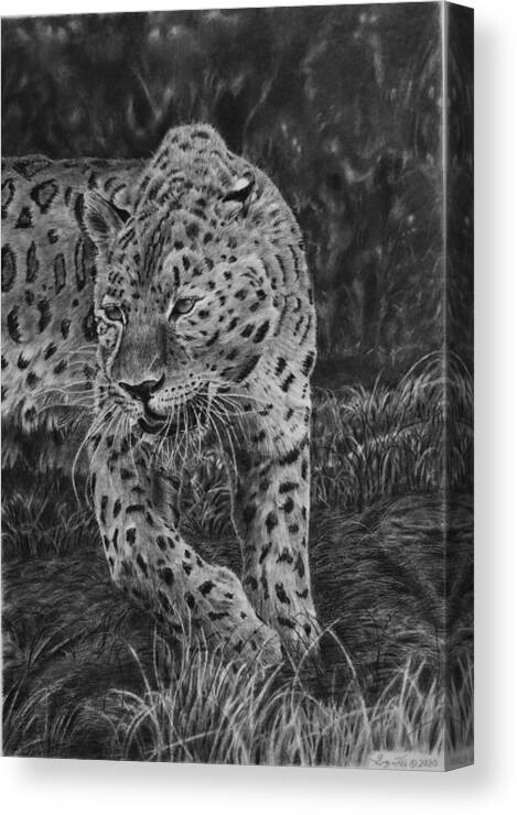 Leopard Canvas Print featuring the drawing Dusk Prowl by Greg Fox
