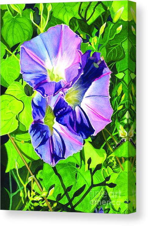 Watercolor Flowers Canvas Print featuring the painting Early Morning Glory by Barbara Jewell