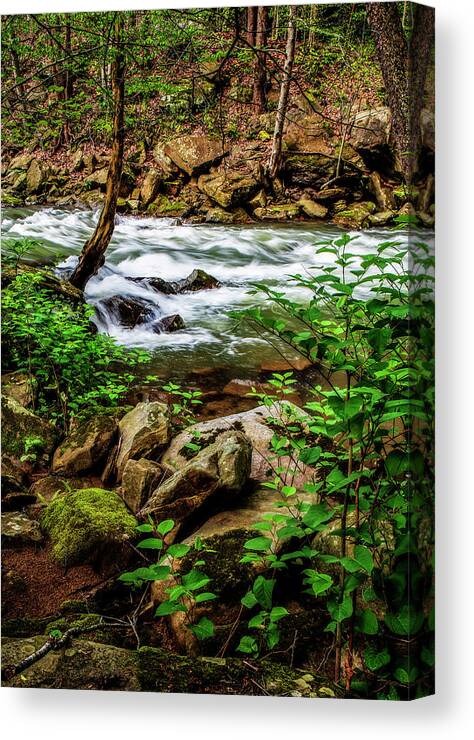 Portrait Orientation Canvas Print featuring the photograph Elements of Nature by Lisa Lambert-Shank