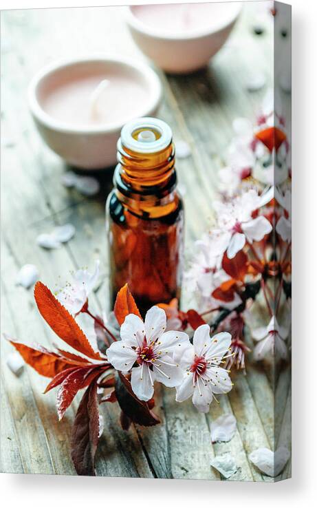 Spa Canvas Print featuring the photograph Essential massage oil with flower on rustic wooden background. N by Jelena Jovanovic