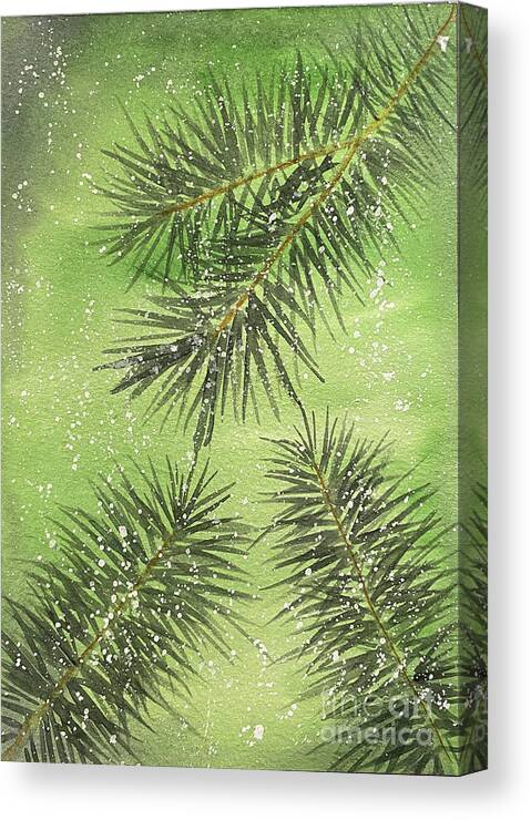 Pine Canvas Print featuring the painting Evergreen Trio by Lisa Neuman