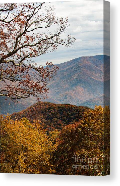 Blue Ridge Mountains Canvas Print featuring the photograph Fall in the Mountains by Jayne Carney