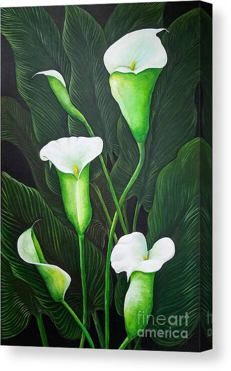 Calla Lilies Canvas Print featuring the painting Giant Calla Lily by Jimmy Chuck Smith