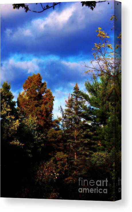 Nature Canvas Print featuring the photograph Golden Hour Autumn - Painterly - Frank J Casella by Frank J Casella