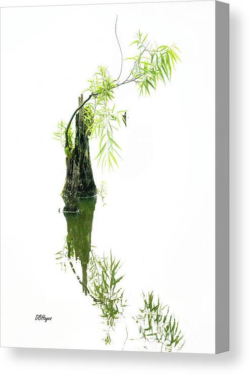 High Key Canvas Print featuring the photograph Hanging On by DB Hayes