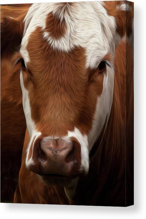 Cow Canvas Print featuring the photograph Home On The Range by Theresa Tahara