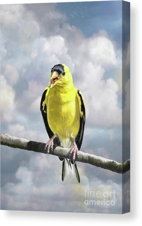 Bird Canvas Print featuring the digital art Hot And Bothered by Lois Bryan