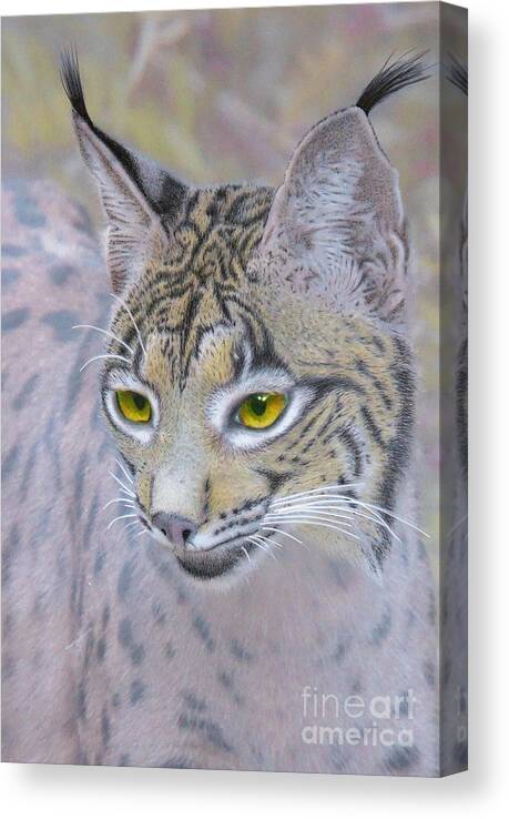 Lynx Canvas Print featuring the mixed media Iberian Lynx, mixed media. by Tony Mills