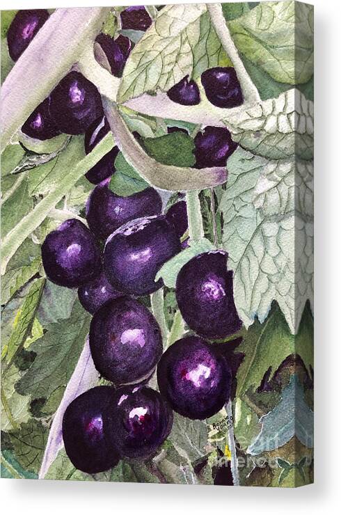 Tomatoes Canvas Print featuring the painting Indigo Blue Berry Tomatoes by Bonnie Young