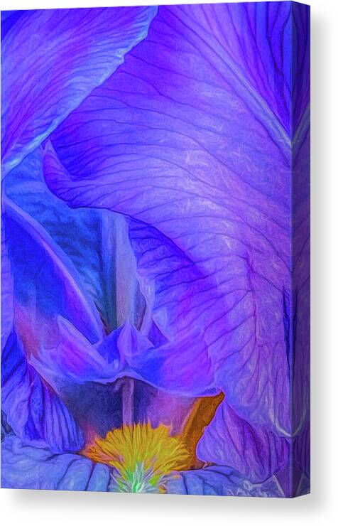 Iris Canvas Print featuring the digital art Iris Full Bloom by Kevin Lane
