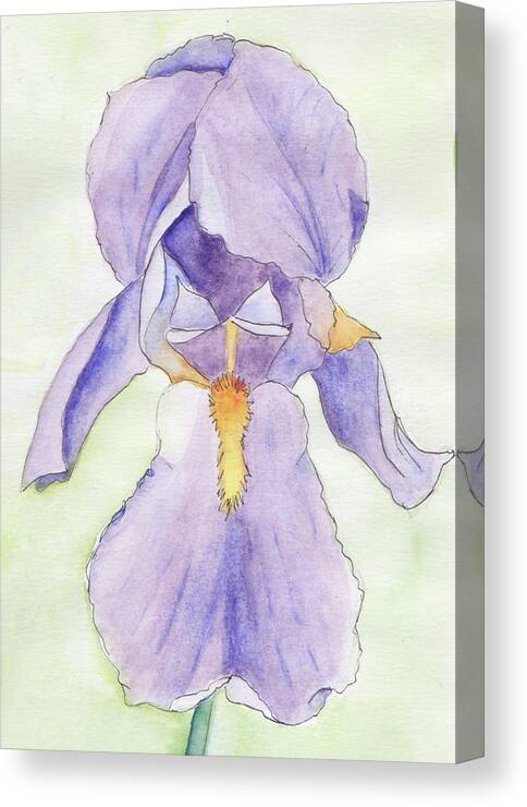 Iris Canvas Print featuring the painting Iris Magic by Anne Katzeff