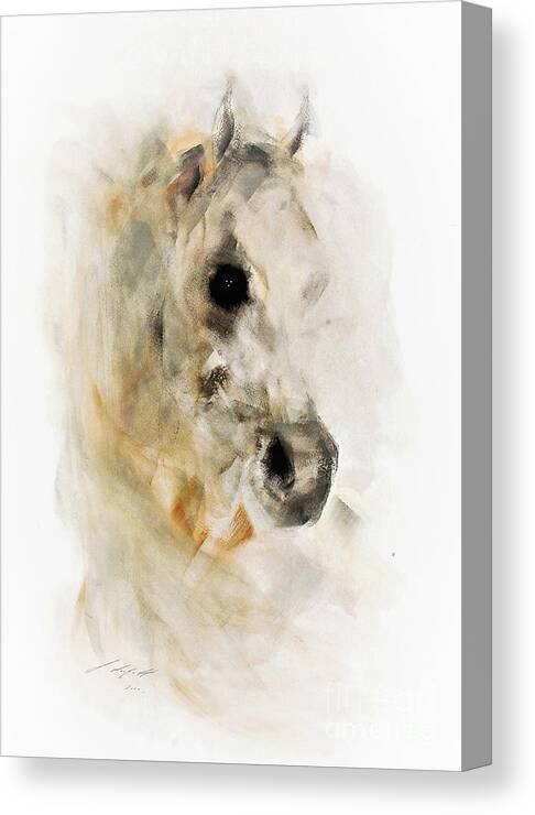 Horse Canvas Print featuring the painting Johnny by Janette Lockett