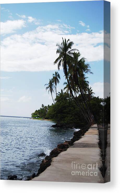 Photography Canvas Print featuring the photograph Lahaina, Maui 044 by Stephanie Gambini