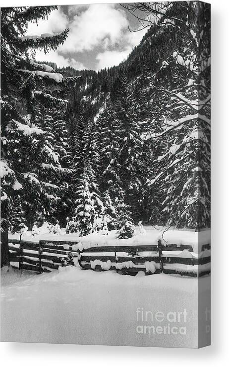 Leutasch Canvas Print featuring the photograph Leutasch Snow Trail 2 by Bob Phillips