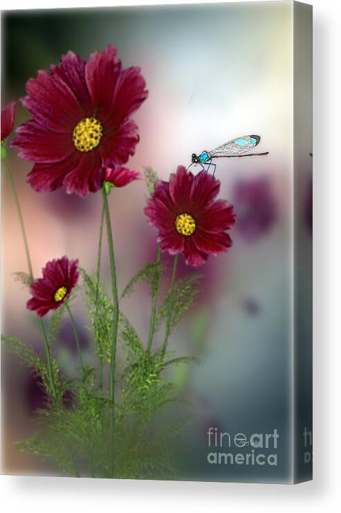 Damselfly Canvas Print featuring the mixed media Little Damselfly by Morag Bates