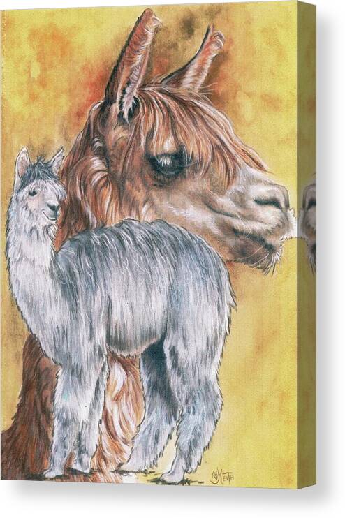 Llama Canvas Print featuring the mixed media Llama by Barbara Keith