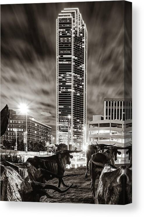 Dallas Cattle Drive Canvas Print featuring the photograph Longhorn Cattle Drive and the Dallas Skyline - Sepia Edition by Gregory Ballos