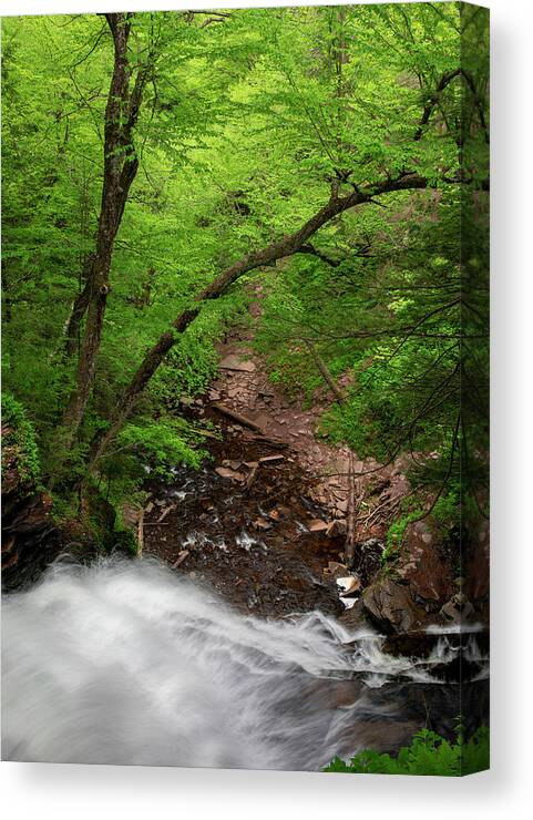 Looking Down Ricketts Glen Waterfall Canvas Print featuring the photograph Looking Down Ricketts Glen Waterfall by Dan Sproul