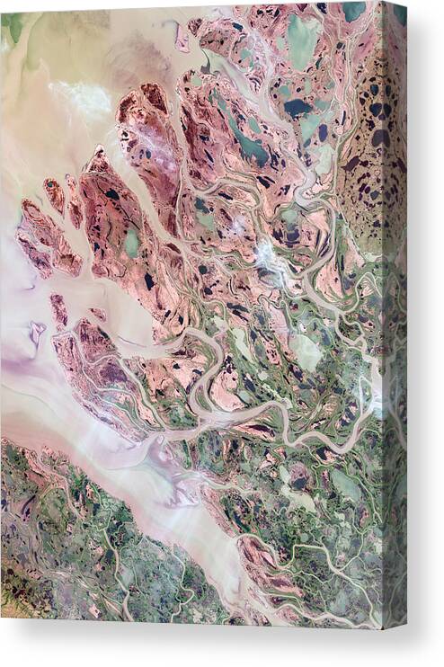 Satellite Image Canvas Print featuring the digital art Mackenzie Delta by Christian Pauschert